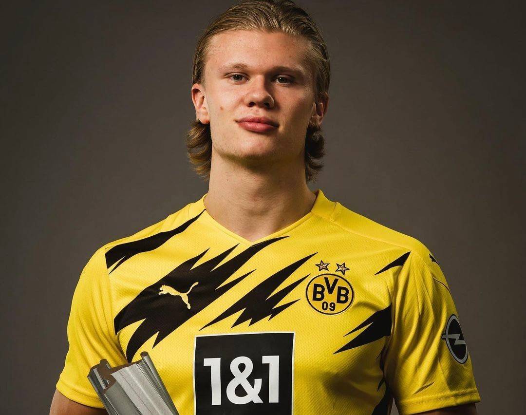 化影响力的 化影响力的